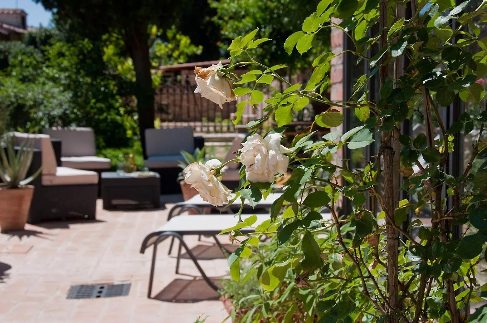 Stuart Apartments Montepulciano Stazione